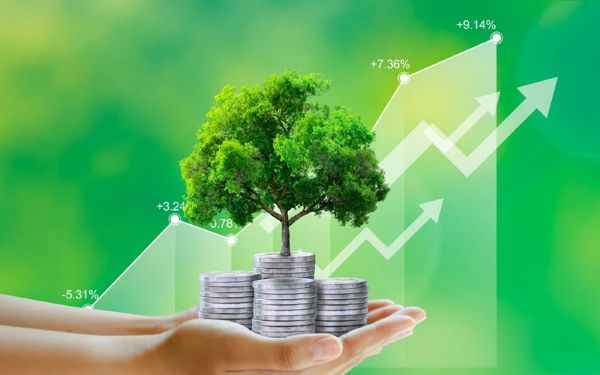 Tín dụng xanh là khoản vay hỗ trợ các dự án thân thiện môi trường 
