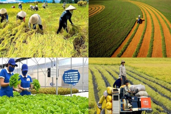 Nghị định số 156/2025/NĐ-CP tạo điều kiện cho việc tiếp cận vốn của doanh nghiệp trong khu vực nông nghiệp