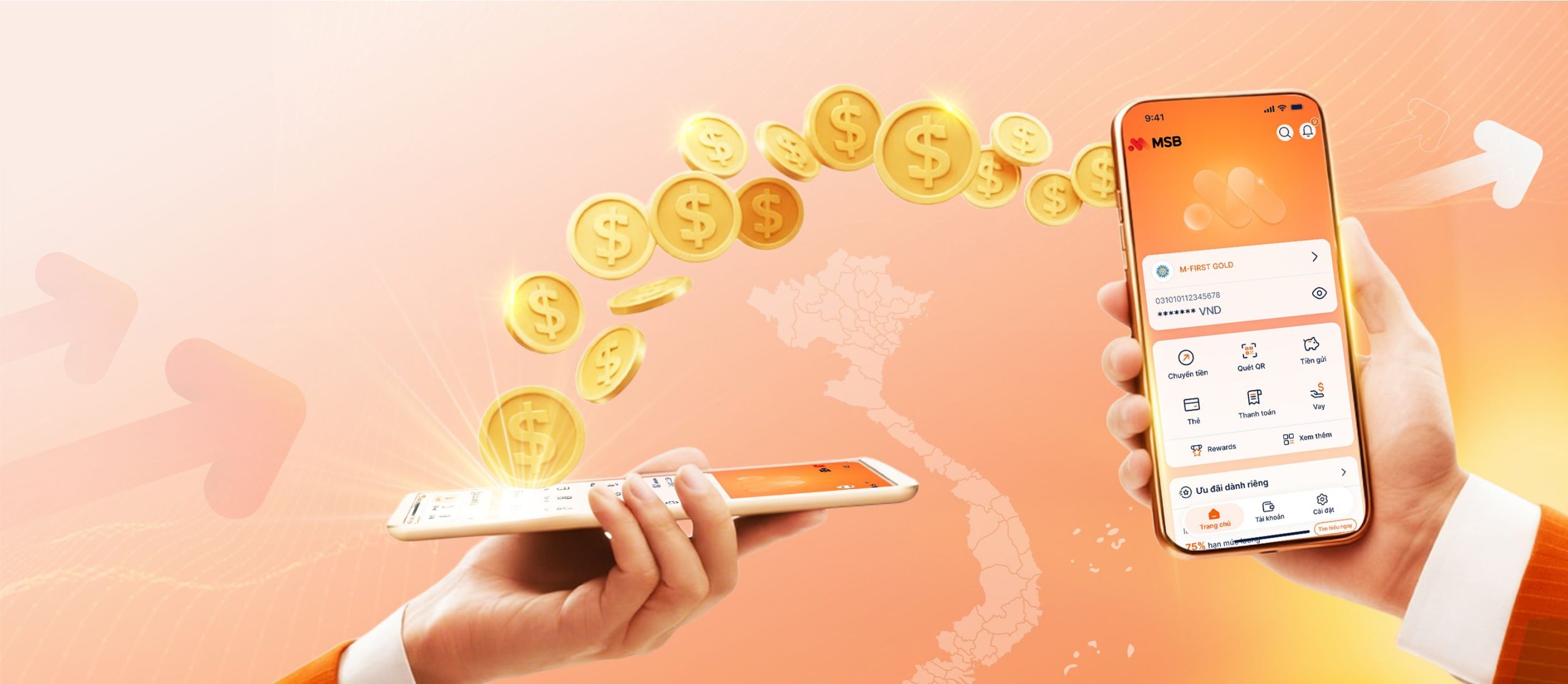 Domestic Money Transfer