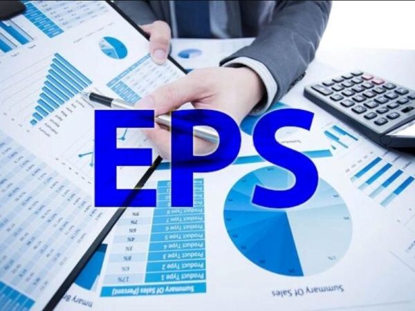 EPS được phân chia thành 2 loại phổ biến